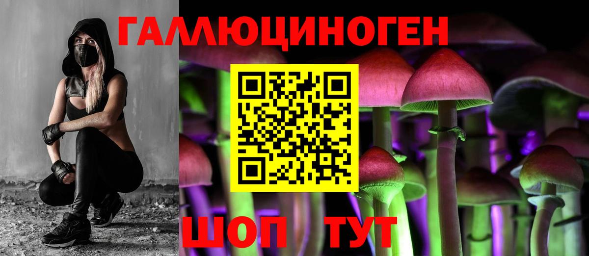 Галлюциногенные грибы Psilocybe  Псилоцибиновые грибы Psilocybine cubensis  Вход с VPN  Кострома 